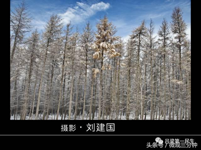 岚县野鸡山位于哪里,山西吕梁山雪景图片