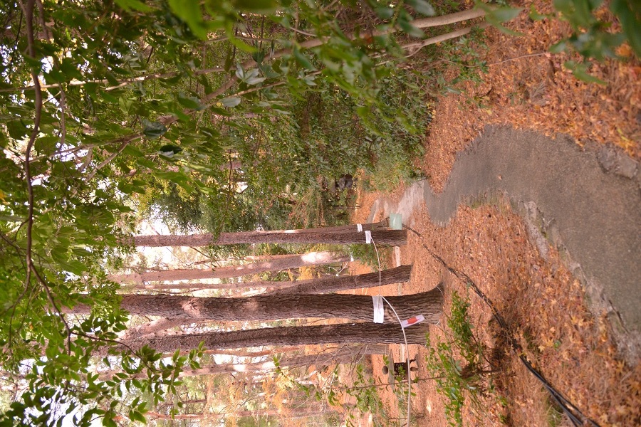 阿含桐山杯视频,阿含桐杯决赛视频完整版