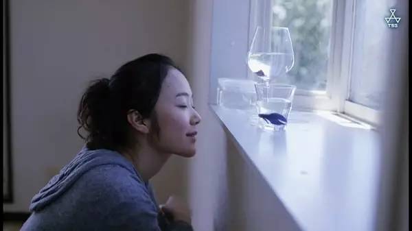 岩井俊二作品照片,岩井俊二的作品