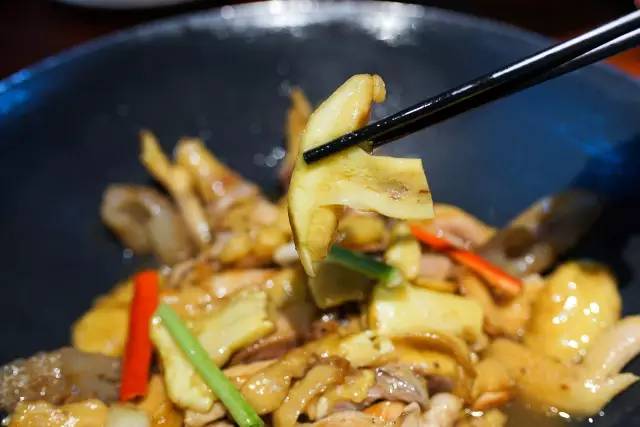 澶氳倝妞嶇墿椁愬惂,妤奸《澶氳倝鑺卞洯椁愬巺