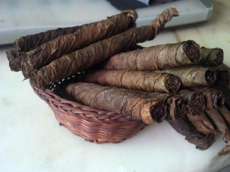 实木地板被白蚁蛀,木地板潮湿虫怎么消除