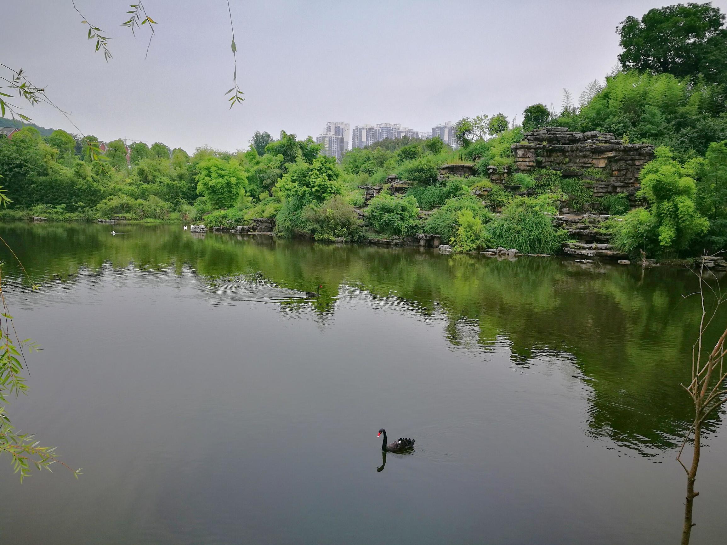 重庆十大最美的大学排行榜,重庆最美风景区排名