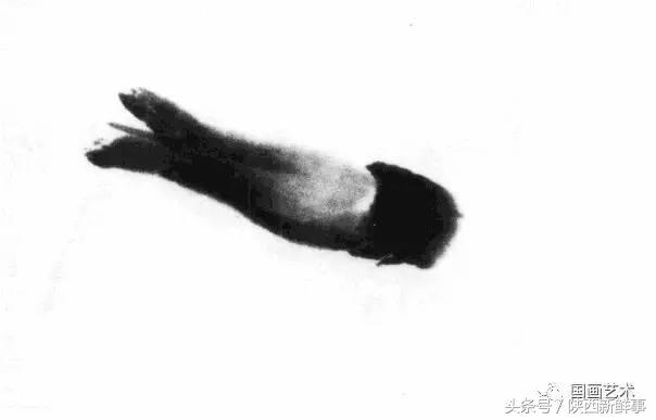 齐白石画虾步骤,齐白石画虾的作品叫什么名字