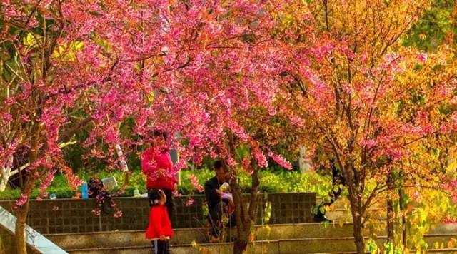 重庆到四川旅游自驾最佳路线,从四川出发旅游路线推荐环线