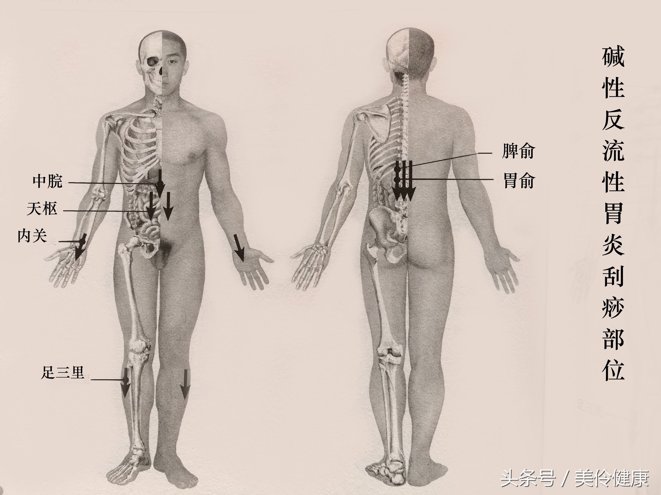 胃炎反复用药,胃炎反反复复发作吃什么中药