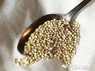 健身快速增肌的食物有哪些,健身蛋白质含量高的食物有哪些