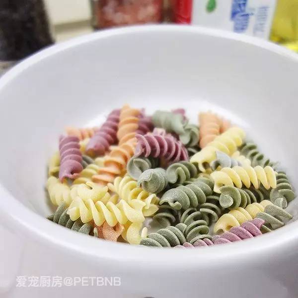 瀹犵埍鍘ㄦ埧缇庨瑙嗛,瀹犵埍鍘ㄦ埧濂界墿