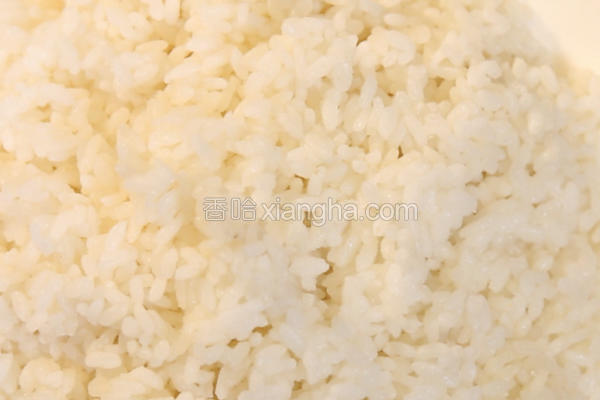 翻滚吧蛋炒饭全集免费观看,翻滚吧蛋炒饭的菜品