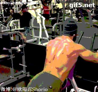 背部最佳增肌训练排行表,背部增肌徒手训练方法