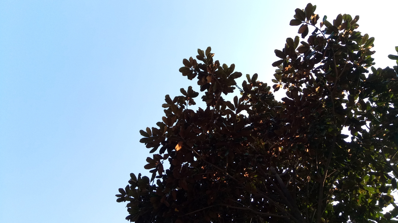 诺基亚消失了吗,诺基亚失掉的辉煌