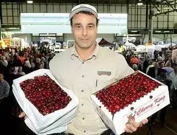 澳大利亚的新鲜樱桃,澳洲樱桃