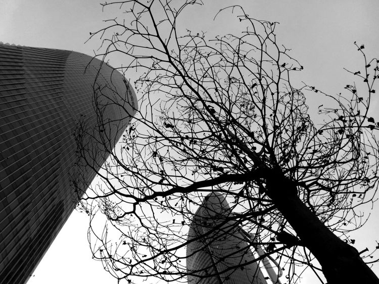 云上厦门看厦门夜景,海上看厦门