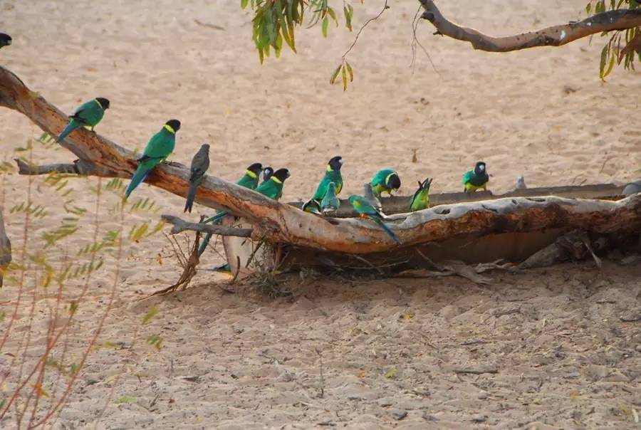 中国最孤独的酒店,世界最孤独的酒店安缦