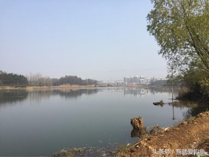 大湖冬钓鲫鱼怎么找钓点,平天湖初冬