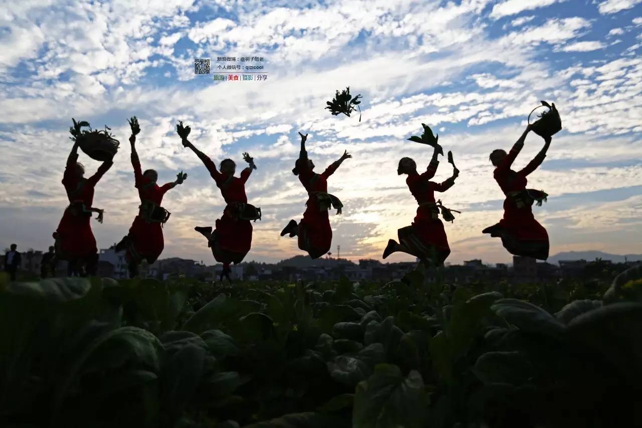 去连州有什么好玩的,清远连州旅游详细攻略