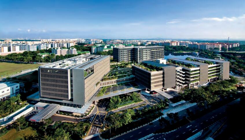 新加坡医疗保健体系如何成为亚洲第一，种下芝麻，长出西瓜！