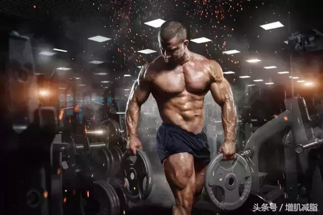 有氧对增肌并非“一无是处”，增肌不能不做有氧！