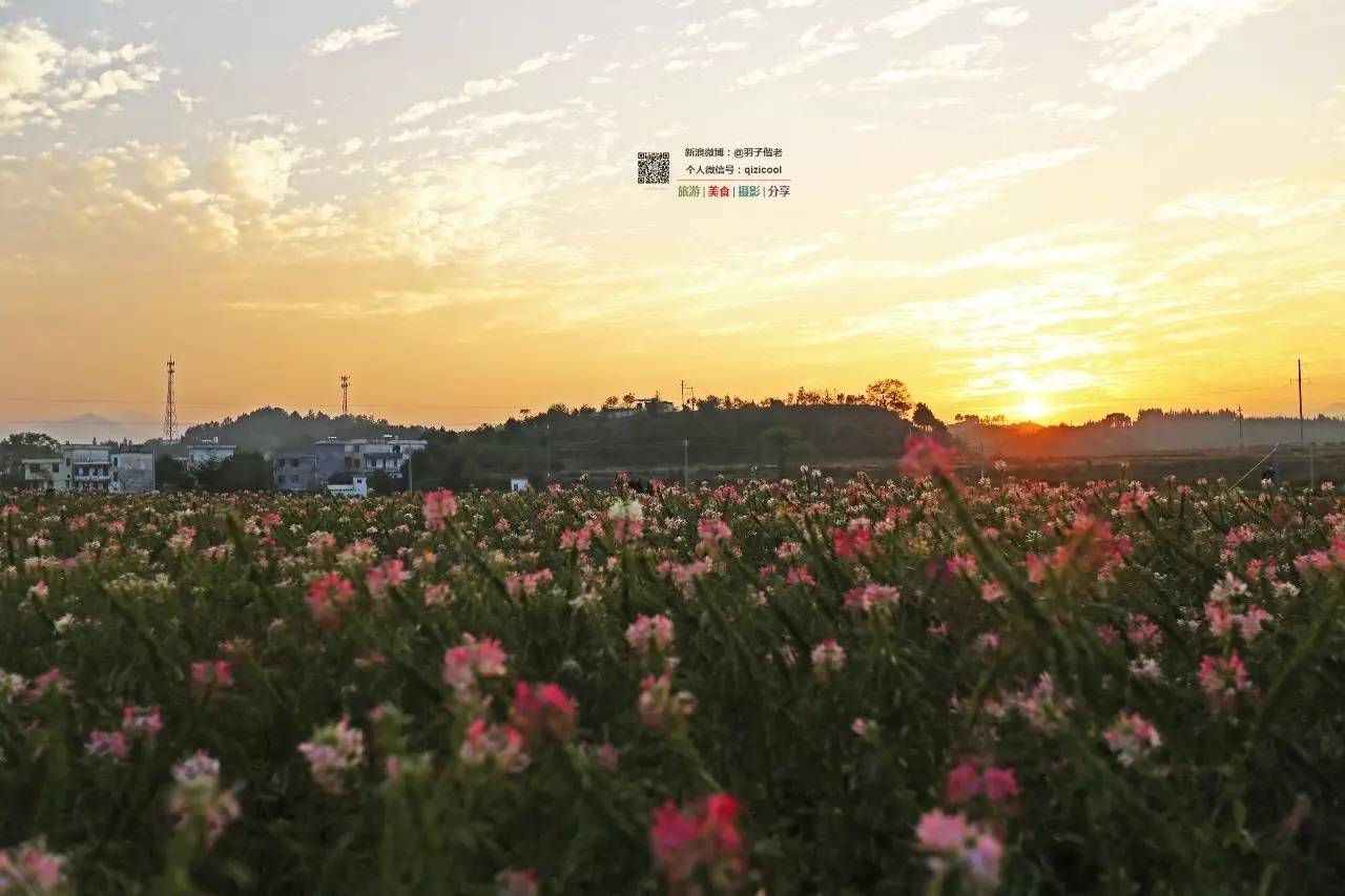 去清远连州怎样最方便,广东连州攻略