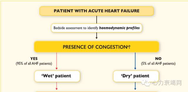 心衰专家张健,中国心衰诊断及治疗指南2018