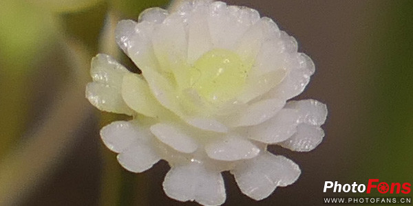 松下口袋相机lx10,松下lumixlx10长焦