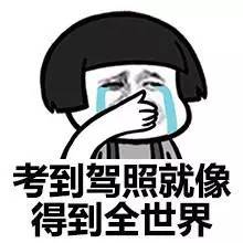 上海学车新消息,上海驾校最新政策