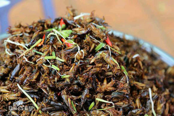 盘点中国十大奇葩美食,盘点各地的奇葩美食