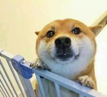 春节如何抢票最容易,春节买火车票哪个软件抢票快