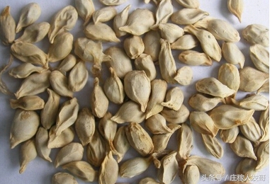 生活中常见的它竟有这些小妙用,这些扔掉的生活垃圾竟然都是宝