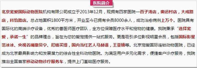 瀹犵埍鍘ㄦ埧缇庨瑙嗛,瀹犵埍鍘ㄦ埧濂界墿
