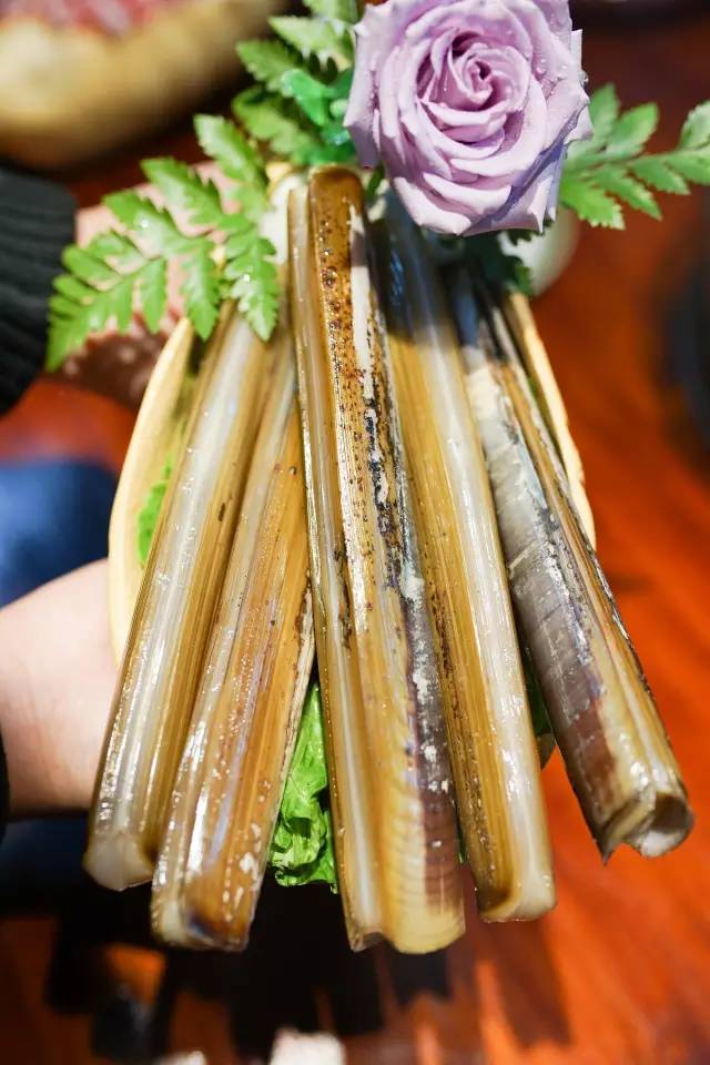 澶氳倝妞嶇墿椁愬惂,妤奸《澶氳倝鑺卞洯椁愬巺