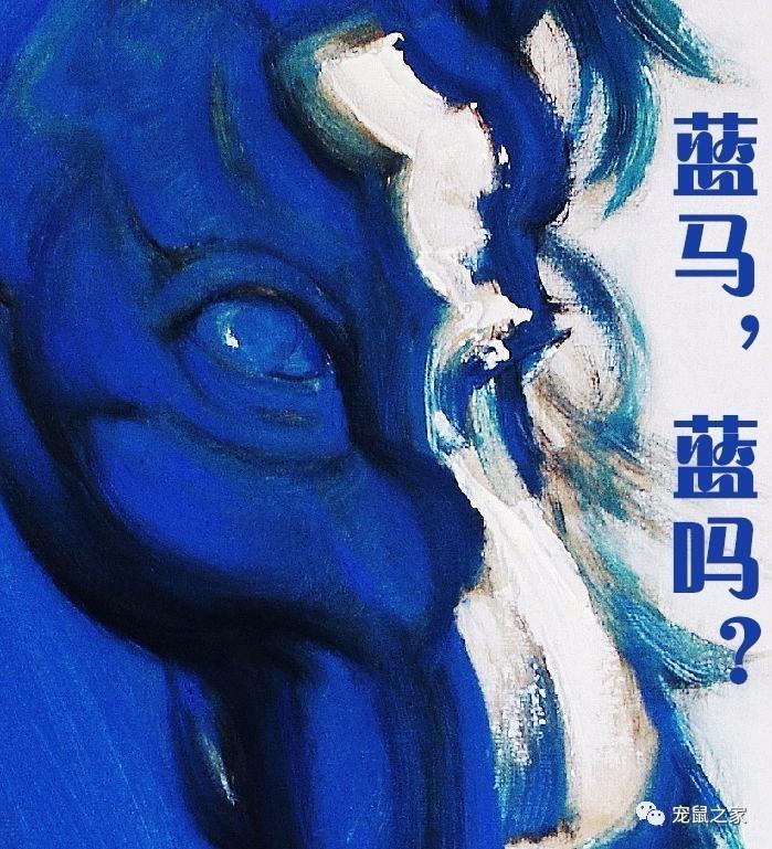 缇庨澶╀笅鍏荤敓澶у笀,缇庨澶╀笅棣欑尓