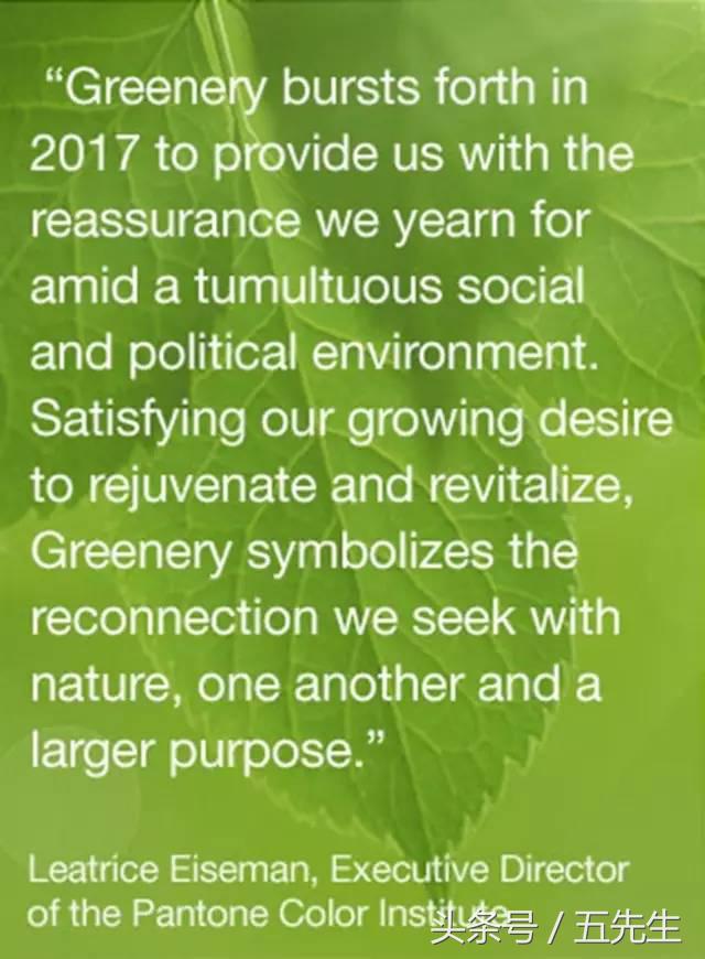 pantone公布2018年流行色彩预测,pantone公布的2019年度色彩是