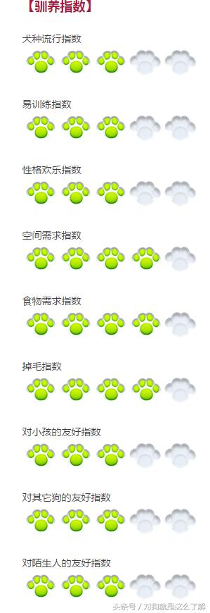 斑点狗科普点读,斑点狗大麦町犬好养吗