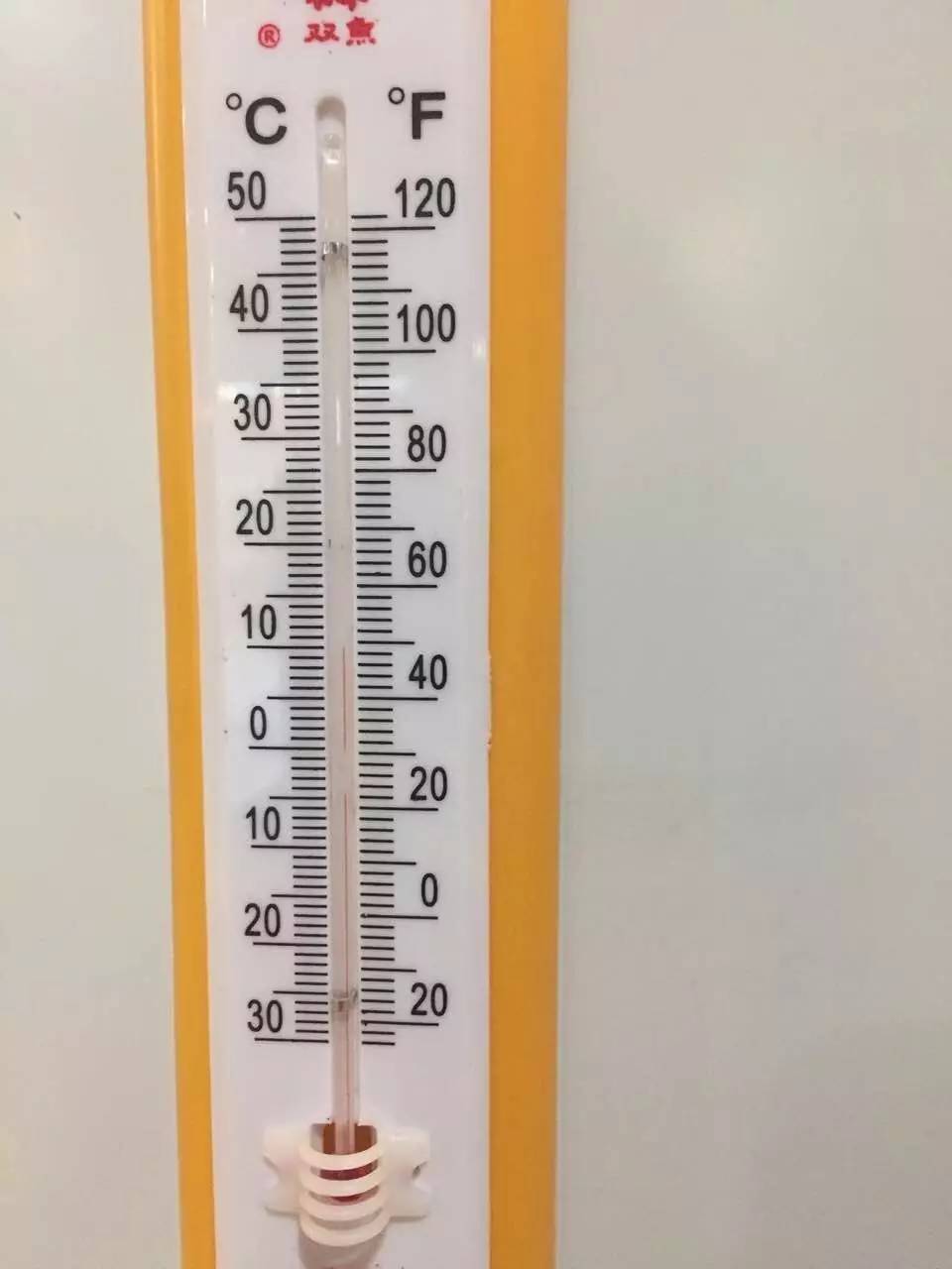 奥莱国际健身,奥莱健身俱乐部