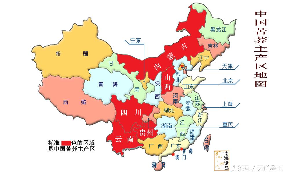 怎么选择正宗的苦荞茶,大麦茶和苦荞茶