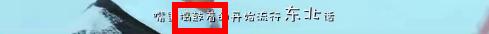 科普一下你不知道的,全世界都在说的东北话
