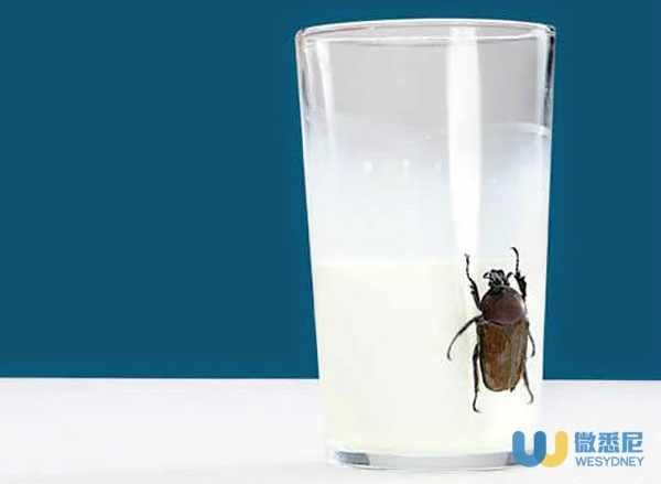 涨姿势！风油精滴到“不可描述”的地方、“蟑螂奶”比牛奶有营养