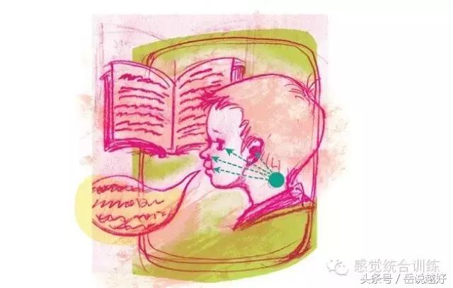 三大主要的感觉系统,三大感觉系统的关系