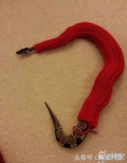 又到一年圣诞节完整视频,又到一年圣诞节