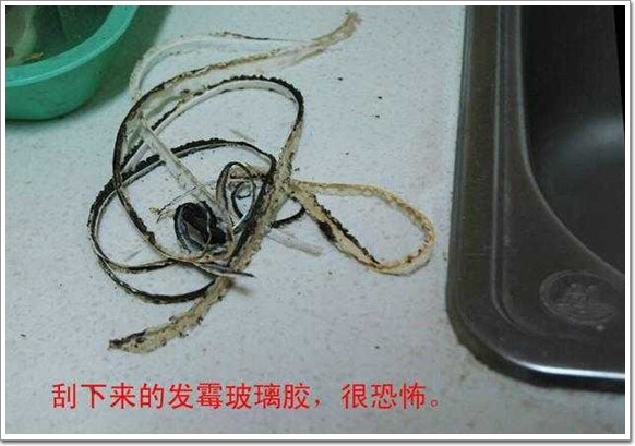 水槽边用久了发霉,水槽用除胶剂后生锈了