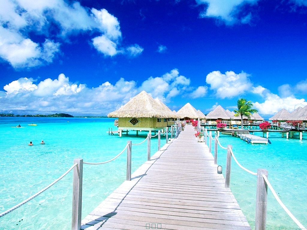 旅游拍照手机哪个好用,出国旅游如何携带手机