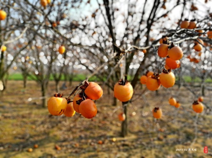 青岛哪里可以泡冰水浴,青岛什么地方可以泡温泉泡澡