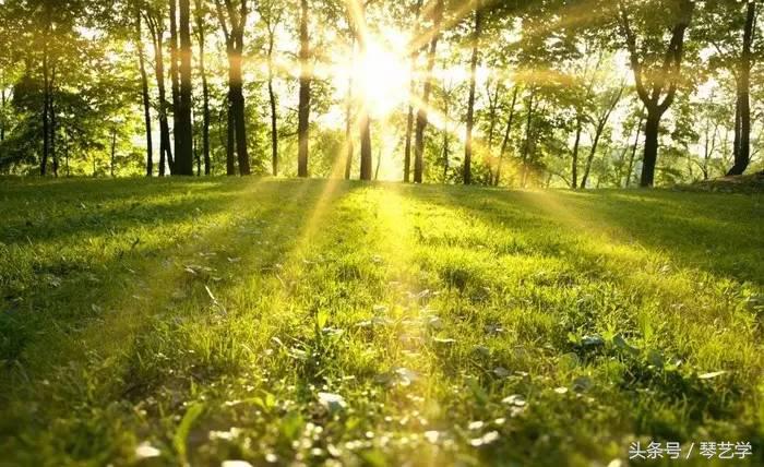 乐器推荐尤克里里,海鸥swssg吉他测评