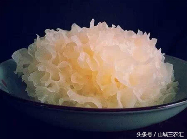 银耳，自己在家中也能培育，轻轻松松吃到健康美味