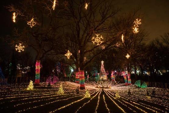 世界上最适合过圣诞节的美丽地方,圣诞节适合去的地方