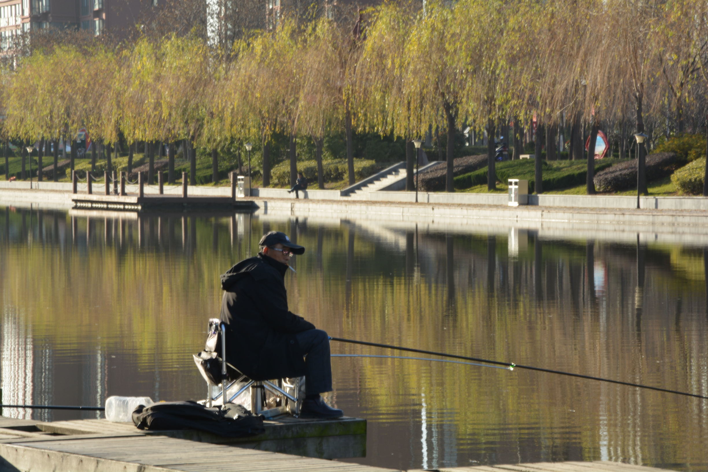 尼康D5200扫街,狗头基本够用