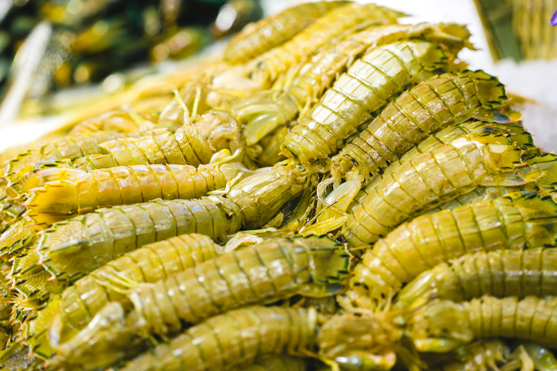 津城海鲜自助,天津蒸汽海鲜自助