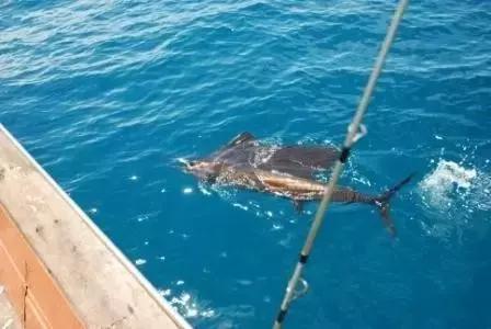 免签出境游推荐,春节海外免签旅游推荐