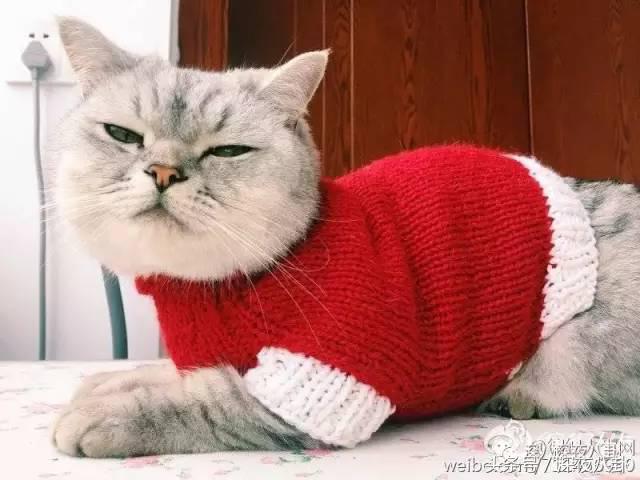 又到一年圣诞节完整视频,又到一年圣诞节