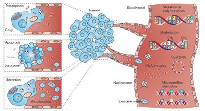 光动力治疗能杀死肺癌肿瘤吗,癌症激光能彻底杀死癌细胞